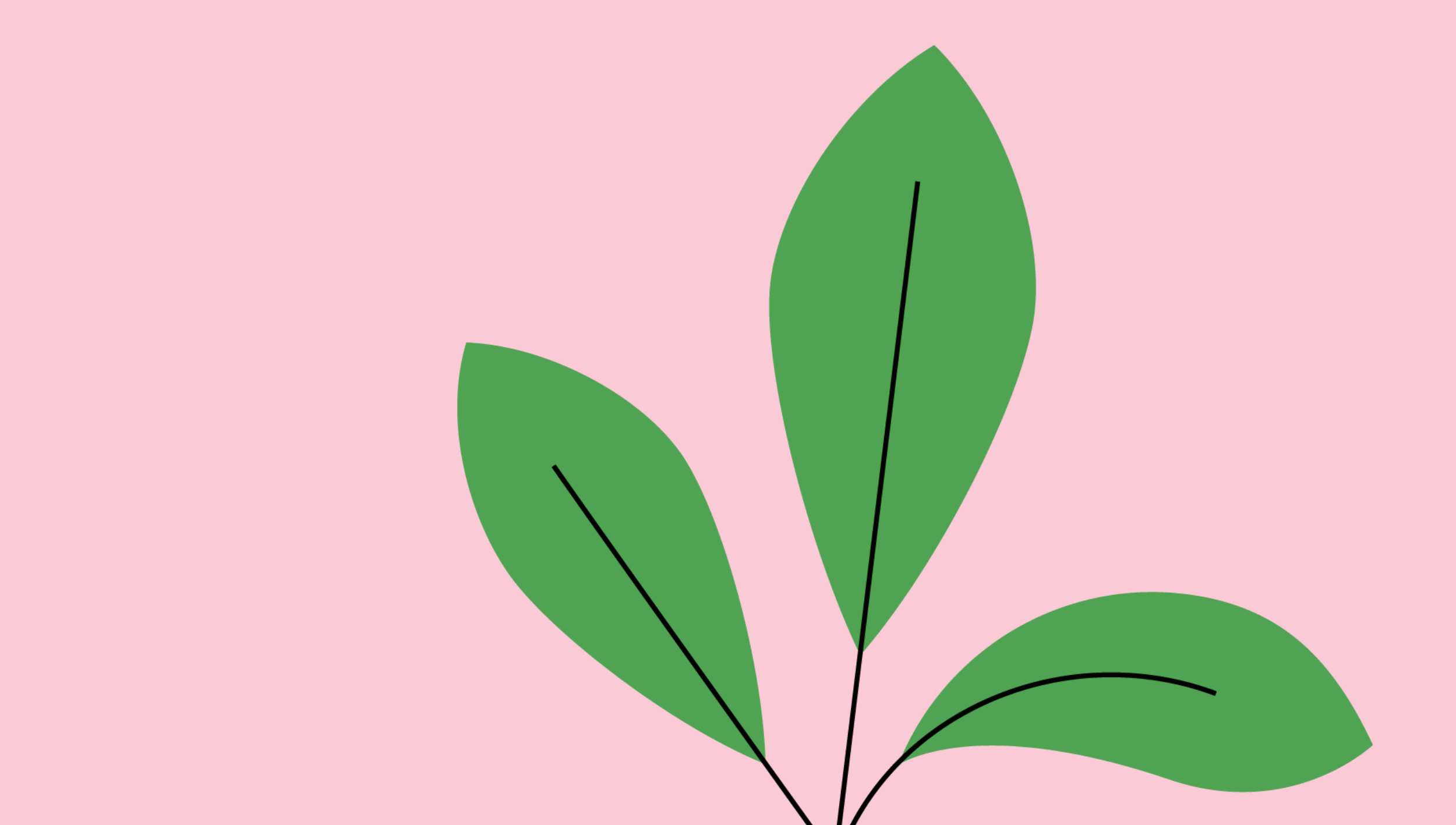 Leaf to represent sustainable corporate gifts